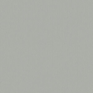 AF210 Silver Frost TFL G2S UPine PB 3/4" x 49" x 97"