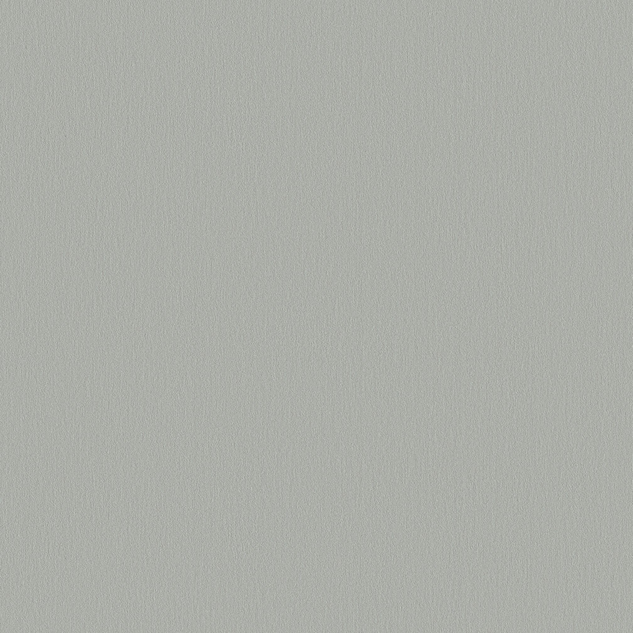 AF210 Silver Frost TFL G2S UPine PB 3/4" x 49" x 97"