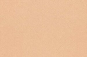 Golden Allusion 5x12