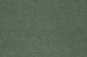 Botanical Allusion 5x12