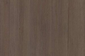 Venerable Old Oak 5x8