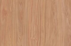 Santa Rosa Plum Tree 5x8