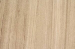 Dry Creek Plum Tree 4x8