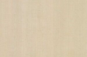 Tea Party In Boston 5x12