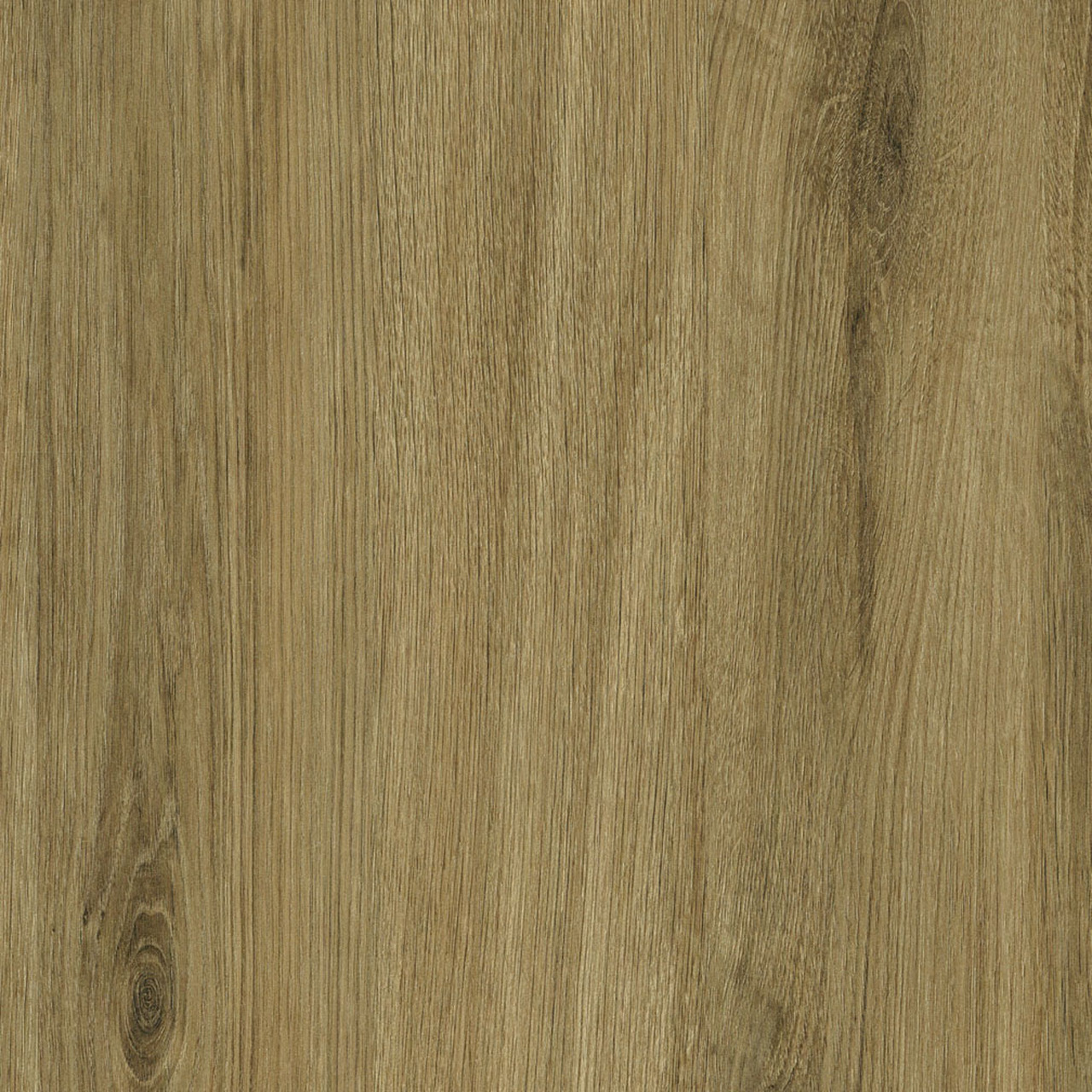 WF440 Ginger G2S MDF Taction 1/4" x 61" x 109"