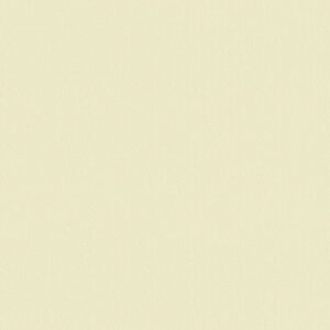 SF204 Opal TFL G2S Moisture Resist MDF 3/4" x 61" x 97"