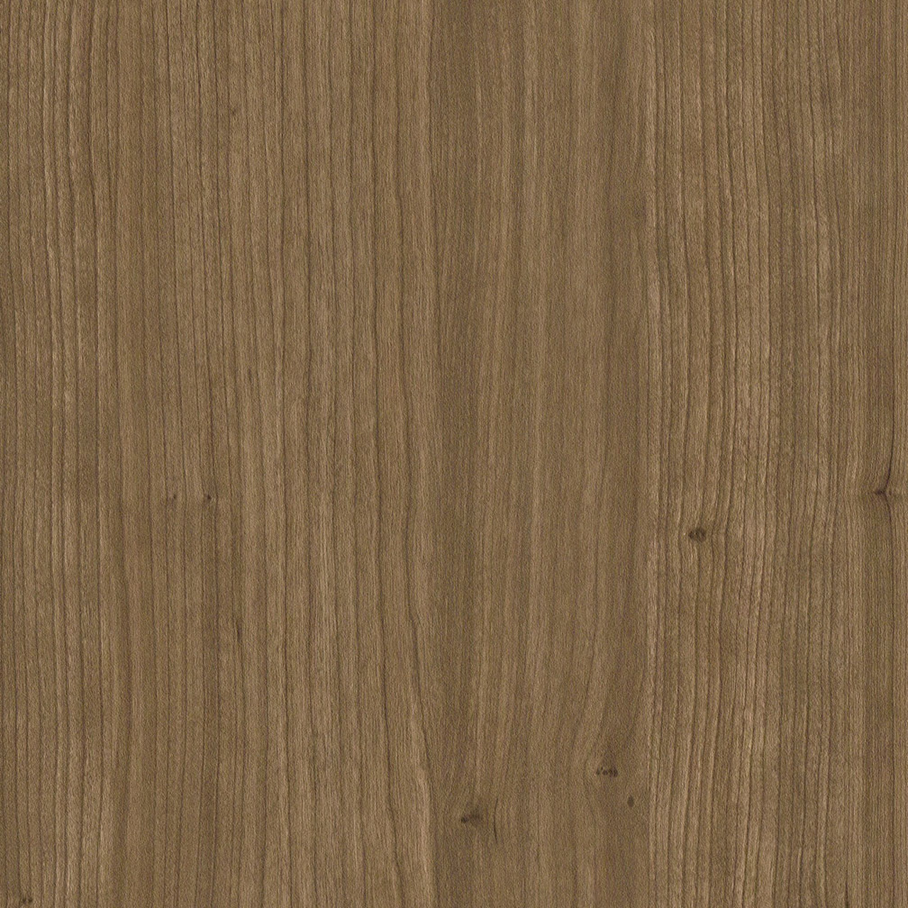 WF310 Talas Cherry TFL G2S PB Suede 3/4" x 49" x 97"