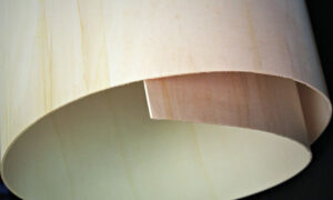 Italian Poplar Bending Ply